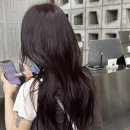 비쥬얼봄 이미지