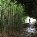 내도마을 이미지