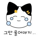 피자인류동탄 이미지