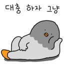 왕곡애견동반펜션 이미지