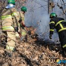 신창초교 이미지