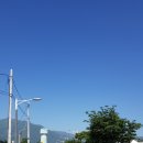 풍기유명홍삼원
