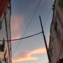 일상(먹방주의,일상,판교현백,잠실롯백,이사준비 사고 버리기의 반복)