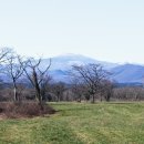 성산목장 이미지