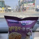 바닐라블리 이미지