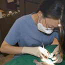 서울수미치과의원 이미지