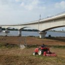 유채꽃길 이미지