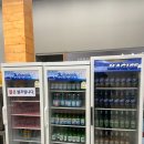 가연정