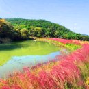 가산수피아 이미지