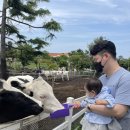 도희목장 이미지