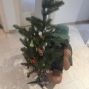 쉼민박 | [세계일주] 오스트리아 비엔나 한인민박 스텝으로 한달살이