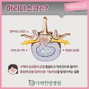 이세한의원 네이버블로그