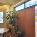 다르마키친 이미지