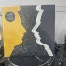 첫 LP 매장 방문