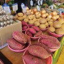 대송상회 이미지