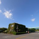 대유랜드 이미지