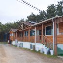 뉴해송펜션 | 춘장대 펜션 서해 갯벌체험 가능한 해송펜션 후기