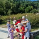 봉화정육식당 | 아이와 경북 봉화 여행지 분천 산타마을과 저렴한 한우정육식당 봉화한약우프라자 후기