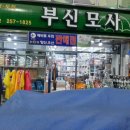 부신모사