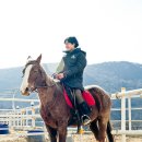 비슬 승마체험장 이미지