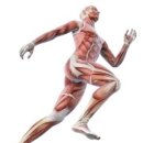 더 리커버리 이미지