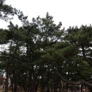 옹암해수욕장 이미지