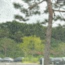 금강조경 - 무주군 잠두길 5-11 | 라운딩 후기) 경기도 여주 금강cc KCC GOLF # 작품같은 조경으로 넓은 페어웨이 여주 회원제 골프장...