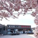 [KYOKYO] 도와주세요