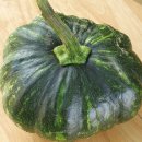 양지리 농장 이미지