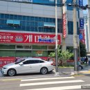 나래세무법인법원지점 | 부산지방법원 인근 낙곱새맛집 개미집 내돈내산