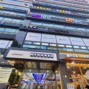 데싱브로우