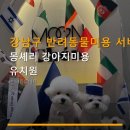 몽셰리 | 강남구 반려동물미용 서비스 안내 몽셰리 강아지미용 유치원 가격·이용정보 한눈에 정리되었어요