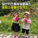 아이플라워 - 수원시 팔달구 인계로 178 | 일산 키즈 원데이클래스, 포피스꽃놀이창작소 5세 아이와 키즈플라워클래스 후기