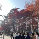 부천동여자중학교 이미지