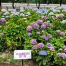 꽃나루공원 이미지