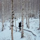 인제목장 이미지