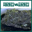 파래들 | 재래김 파래김 차이 직접 먹어본 후기