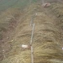 액비골(2) 이미지