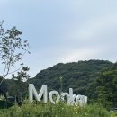 북면197 | 천안 몽키캠핑장 5-1, 5-2 사이트 방문 후기