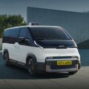 개in택시 이미지