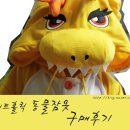 황룡태권도 | 스위트홀릭 용감무쌍황룡 동물잠옷 구매후기