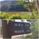 백세공원 Daum카페