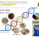 골분과 어분엑기스 발효, 육수액비의 효과와 발효법 이미지