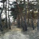 영천시운주산승마조련센터 이미지