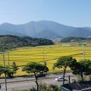 건우식육점 | 아빠표 역사 원정대 #3 &lt;울산 반구대 암각화/박물관&gt;
