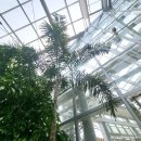 여우꼬리 이미지