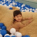 펀토리 이미지