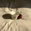 육지로 가요 : 3월 셋째주