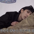 영문캘리그라피 이미지