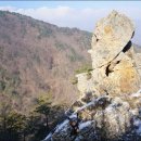 시보네 에세이 52 / 황금 닭의 눈물, 샘밭골에 흐르다 이미지